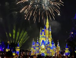 Disney+ Adds 12 Million Subscribers, but Cites ‘Peak Losses’