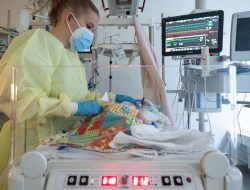 Scientists Are Gaining On RSV, a Persistent Threat to Children