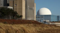 U.K. Backs Giant Nuclear Plant, Squeezing Out China