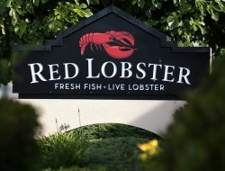 Red Lobster’s Popular Endless Shrimp Deal Ate Into Its Profits