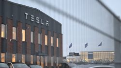 Tesla Sues Swedish Transport Agency in Dispute Over License Plates